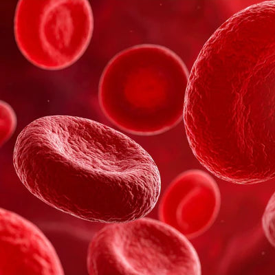Blood Sugar Balance