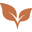 Premium Ceylon Cinnamon